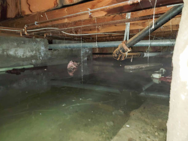 Roseland, NJ Water damage restoration Company