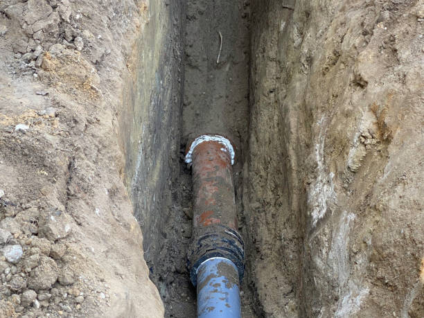 Best 24/7 water damage repair  in Roseland, NJ