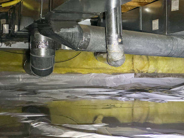 Best Flood damage cleanup  in Roseland, NJ
