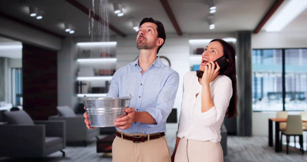 Best Water damage contractors near me  in Roseland, NJ